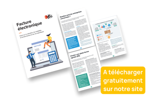 Prévisualisation du guide de la facture électronique