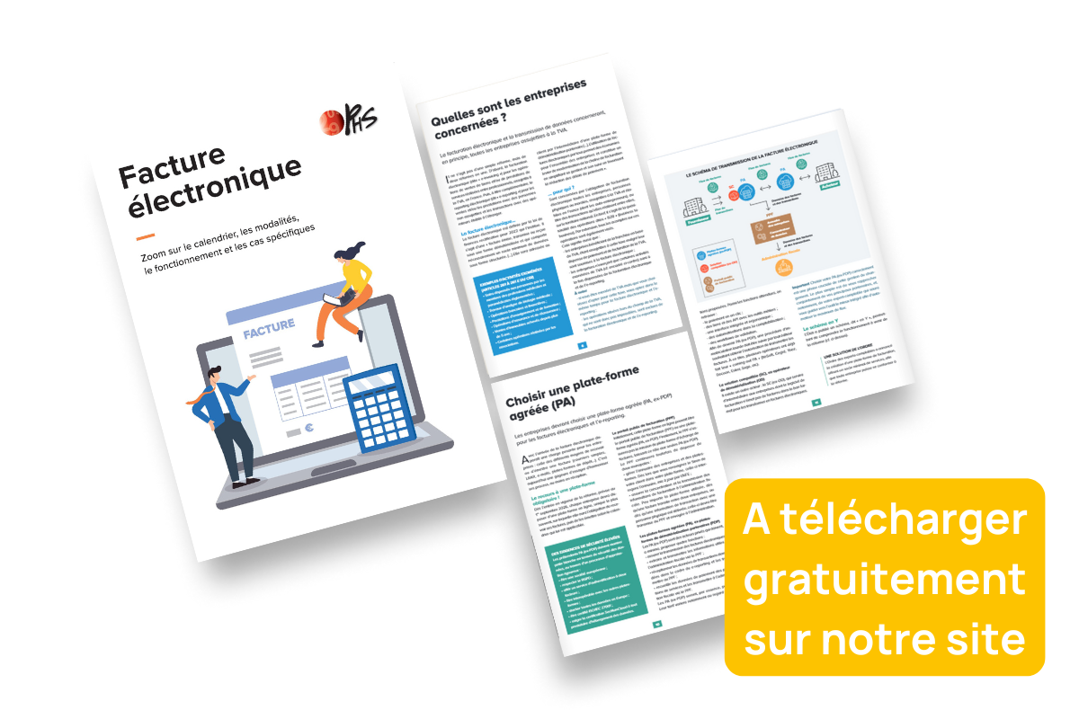 Prévisualisation du guide de la facture électronique